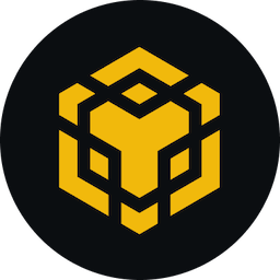 BNB Smart Chain 图标